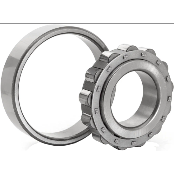 HRBQC Single row cylindrical roller bearings-N209 E