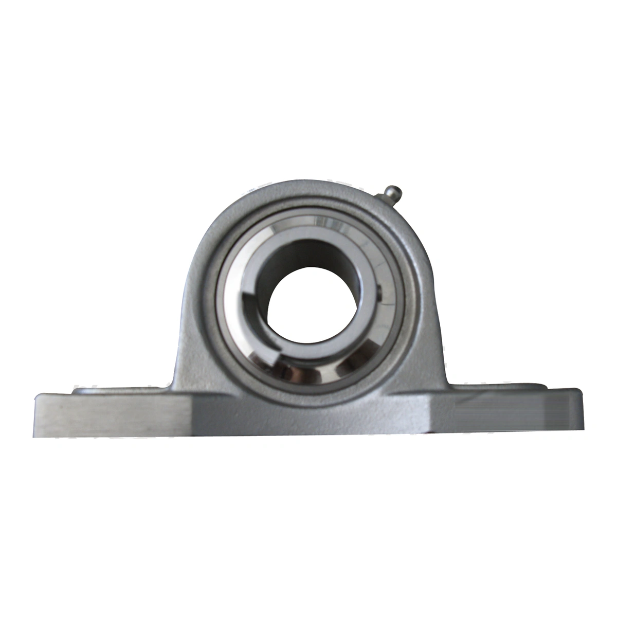 CPB Stainless Pillow Block Units Comprising Stainless Bearing Insert-SS UCP217